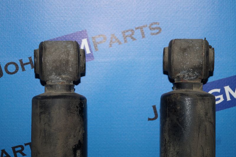 картинка Амортизаторы задние комплект 25820699 Chevrolet Trailblazer от магазина JohnGMparts
